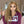 Load image into Gallery viewer, Mslynn #27 Honey Blonde Deep Wave Human Hair 13x4 Lace Front Wig
