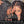 Load image into Gallery viewer, preplucked with baby hair