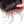 Load image into Gallery viewer, Mslynn Brazilian Straight Hair 3 Bundles with Lace Closure 100% Unprocessed Virgin Human Natural Black Straight Remy Hair